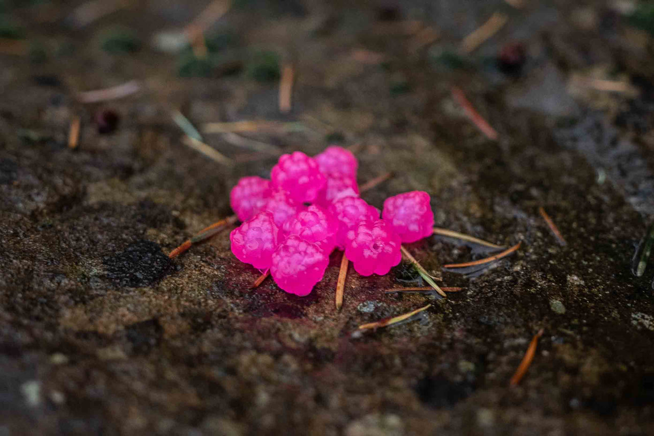 VIP Outdoors Soft Cluster "Clack Cerise"  15mm - 10pack