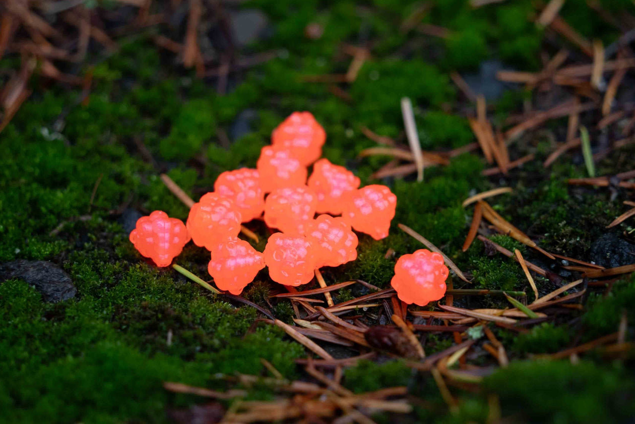 VIP Outdoors Soft Cluster "Salmon Haze"  12mm - 12 Pack