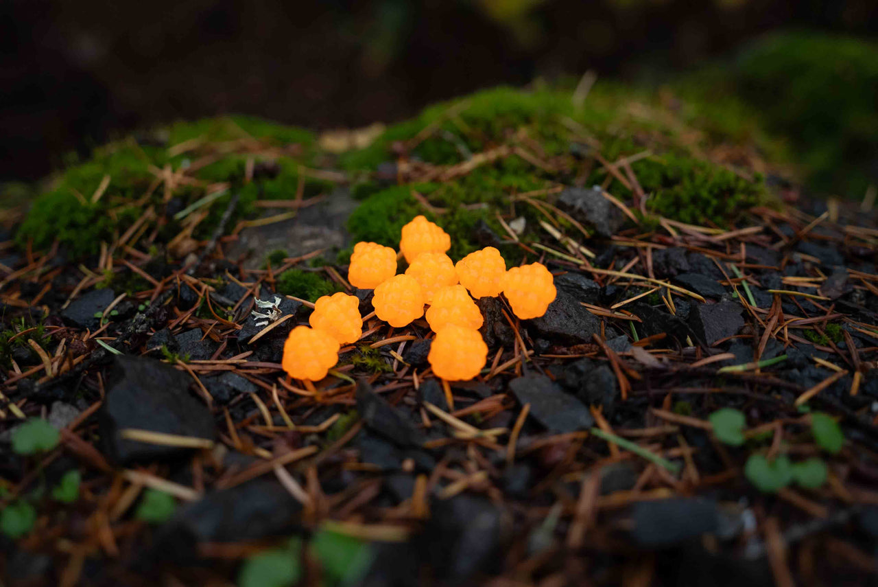 VIP Outdoors Soft Cluster "Nat Orange"  15mm - 10 Pack