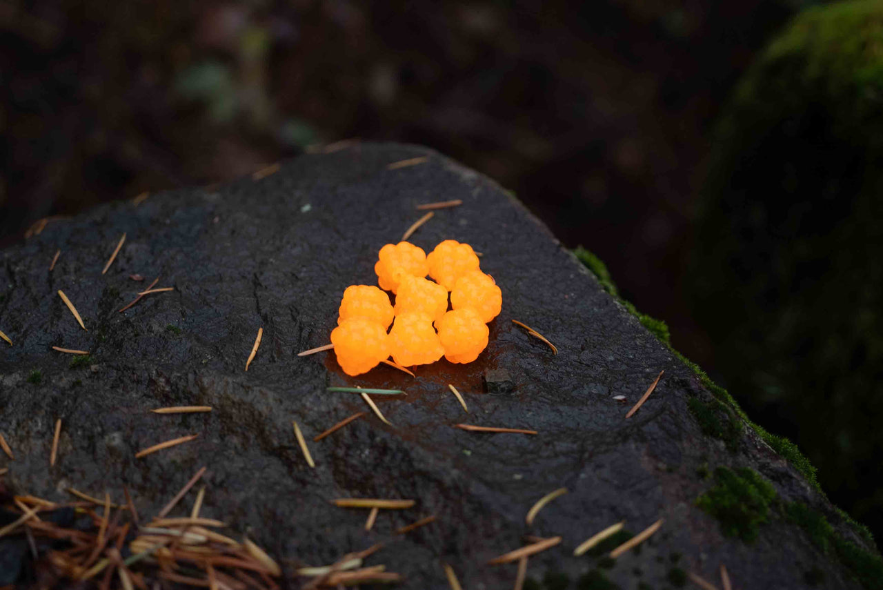 VIP Outdoors Soft Cluster "Nat Orange" 18mm - 8 Pack