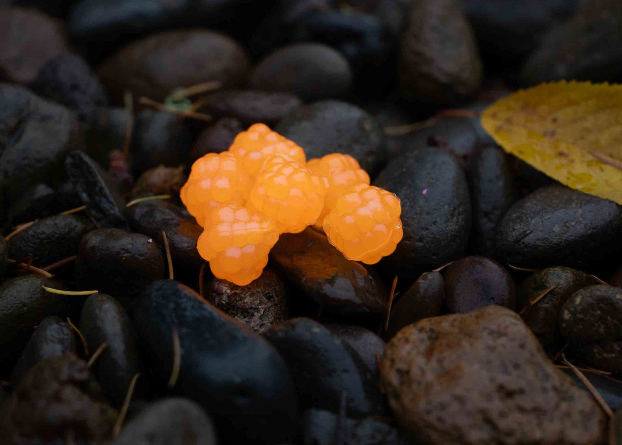 VIP Outdoors Soft Cluster "Orange Haze"  22mm - 6 Pack