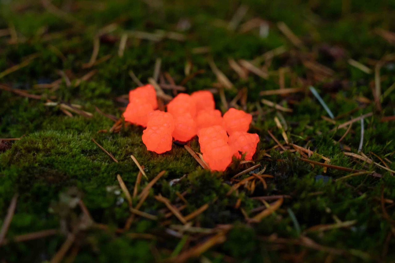 VIP Outdoors Soft Cluster "Salmon Roe"  12mm - 12 Pack