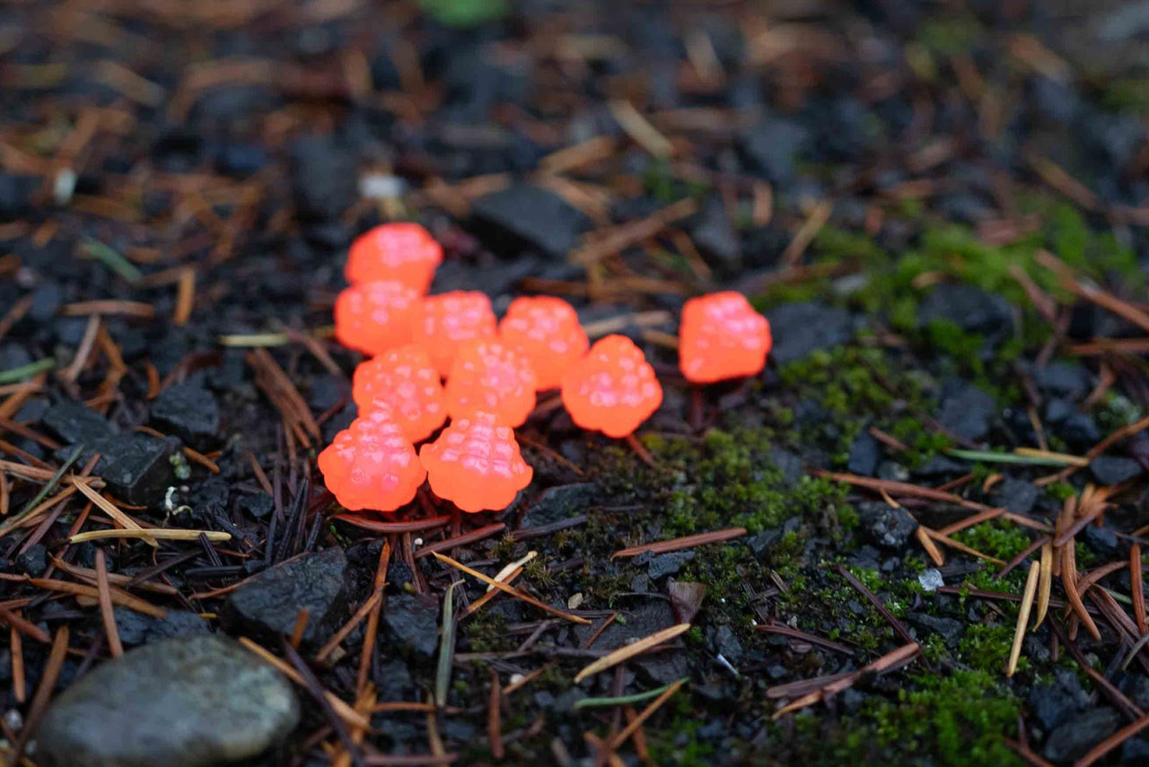 VIP Outdoors Soft Cluster "Salmon Haze"  15mm - 10 Pack