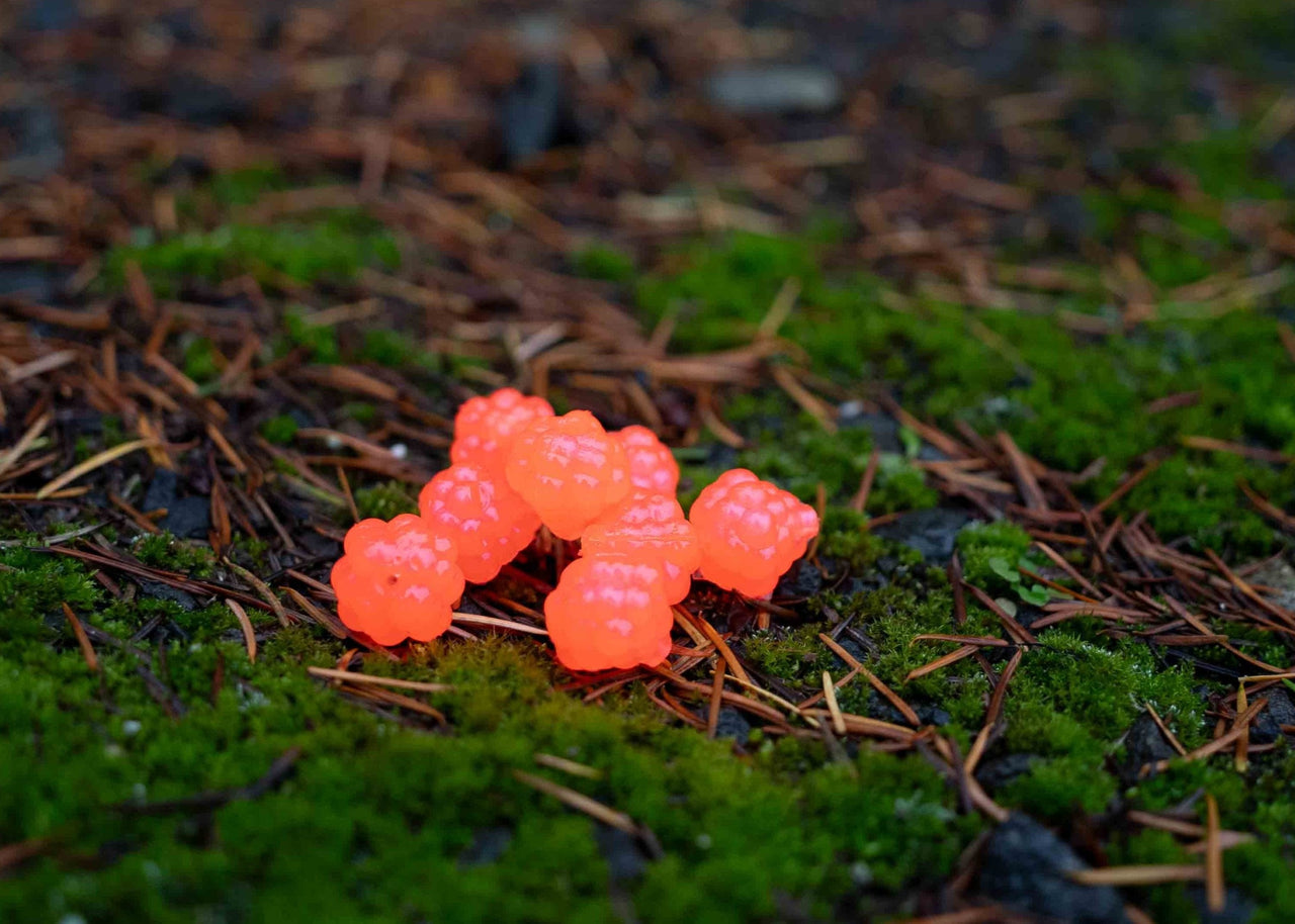 VIP Outdoors Soft Cluster "Salmon Haze" 18mm - 8 Pack